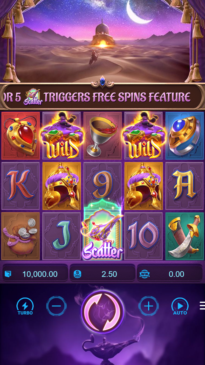 kingdom toto live dealer casino studio