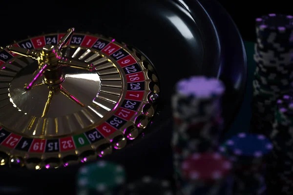 kingdom toto Wild Coaster live dealer roulette table